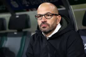 David Badia: profil trenera