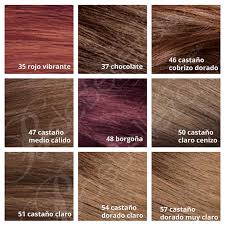 Cubren las canas al 100%. Tintes Revlon Sin Amoniaco Opinion Y Colores 2020