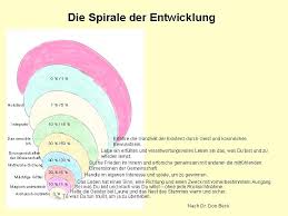 Spiral dynamics groupspiral dynamics groupspiral dynamics group. Spiral Dynamics Wikipedia