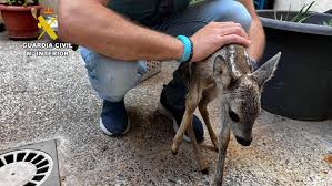 Etiene felix onlyfans EroMe is the best place to share your