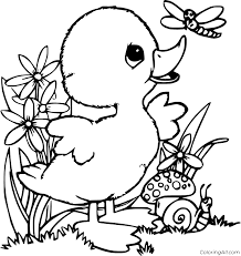 Duckling And A Dragonfly Coloring Page Coloringall