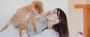 Diese übungen mit der mutter und den geschwistern helfen die beißhemmung zu trainieren, sich wie ein hund zu verhalten. Vom Fellknauel Zum Freund Furs Leben So Machst Du In Der Welpenerziehung Alles Richtig