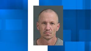 Man who resides in trees allegedly the root of trash buildup