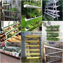 16 Gutter Garden Ideas And Designs Gutter Garden Plants Fence Landscaping