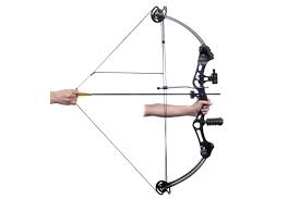 Maybe you would like to learn more about one of these? Adult Compound Bow With Accessories And Fiberglass Arrows Kogan Com