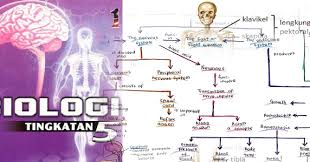 Bab 1 dan bab 2 ( linear motion & motion gra. Nota Ringkas Biologi Tingkatan 5 Download Online Pendidikanmalaysia Com