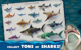 Overall, the game playability is still quite high, for a short time after eating gossip, casual player's essential work, like vandalism players do not miss. Descargar Hungry Shark World Para Android 4 4 2