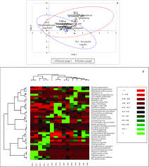 Image result for Antrocaryon nannanii