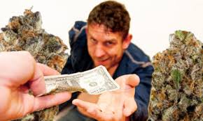 If you are buying weed, you have to be familiar with this. How Many Grams In A Pound Of Weed Green Rush Daily