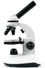 Shop for microscopes in science. The Best Microscopes For Kids Teens Fractus Learning