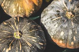 Maybe you would like to learn more about one of these? 6 Pumpkin Varieties And Types In Australia Better Homes And Gardens