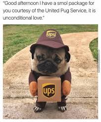 Ups Memes Home Facebook