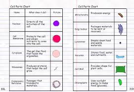 Pin On Homeschooling