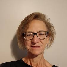 Who is a good travel agent around Fremont, Michigan?