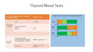 Image result for Thyroid Function Test