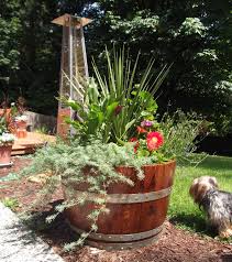 Oak Wine Barrel Flower Pots Each Stave Is Secured With A Screw To Ensure No Warping Stained And Whiskey Barrel Planter Barrel Planter Wood Barrel Planters