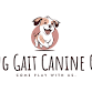 Rolling Gait Canine Centre –  Agility Association event image