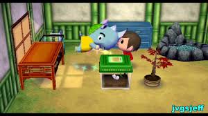 Accf The 9th Year In Pictures City Folk Animal Crossing Pictures