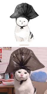 Artist Illustrates The Most Famous Funny Cat Memes In Her Watercatlor Series Funny Cat Memes Cat Memes Funny Cat Pictures