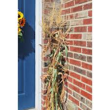 Dried Corn Stalks For Sale Dried Corn Bundles