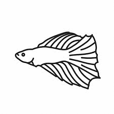 Download Aquarium Fish Betta Fish Betta Splendens Fish Siamese Fighting Fish Icon Download On Iconfinder