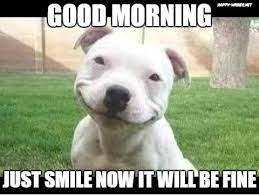 Happy Dog In Good Morning Memes Good Morning Dog Smiling Dogs Funny Dogs