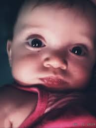 Mobile Home Supply and Walt's Salvage