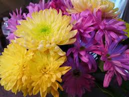 Aldi uk sells many different goods. Fresh Flowers Shop Aldi