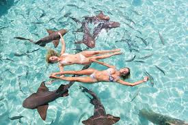 Most suited to a private family estate, cat cay has a beautiful sandy beach. Islands In The Stream Insider S Guide To The Bahamas Flamingo Magazine