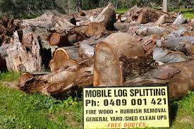 Beech is a hardwood suitable for burning and heating. Mobile Log Splitting Wood Cutting Adelaide Barossa Hills