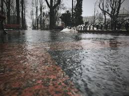 Click here to download sound fx today. Relaxing Music With Rain And Thunder Sleep Or Study With Nature White Noise Rain And Thunder Rain Sounds For Sleeping Relaxing Music
