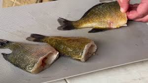 Bake, uncovered, for 20 minutes or until fish flakes easily with a fork. Cooking Your Catch Whole Bream Youtube