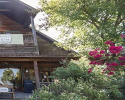 Image of Salado Winery Salado Texas