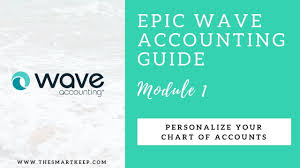 Wave Accounting Course Module 1 Chart Of Accounts
