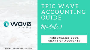 wave accounting course module 1 chart of accounts