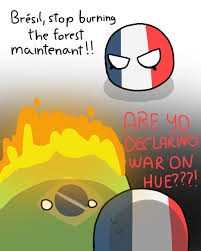 Polandball, also known as countryballs, is an art style occasionally used in online comics, in which countries are typically personified as spherical characters decorated with their country's flag. Countryballs Comic Brazil France Polandball By Annyeluvspopcorn On Deviantart