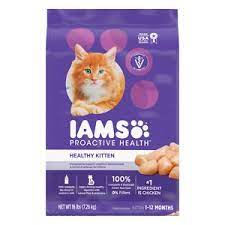 Wrap up on the best kitten food to consider. Best Dry Kitten Food In 2021 Review Of Top 5 Products