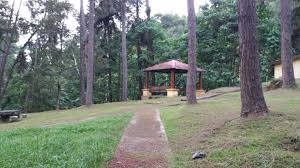 We did not find results for: Mohd Faiz Bin Abdul Manan Hutan Lipur Konifer