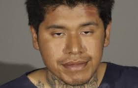 Santa Monica Mirror: May 24