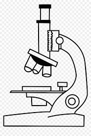 Draw microscope step by stepthank you watching the video. Drawing Compound Microscope Microscope Black And White Hd Png Download Vhv