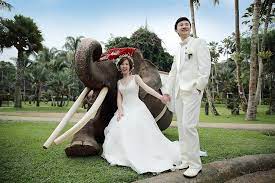 金紗夢獨特海外婚禮系列 峇里島elephant safari park 大象園婚禮 c estbon weddings 海外教堂 海島婚禮 海外婚宴 海外旅遊拍攝 婚紗攝影 自助婚紗 婚紗禮服訂製等服務 金紗夢幫你輕鬆圓夢 safari park bali elephant safari