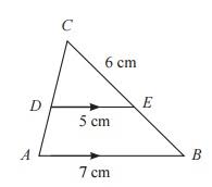 Jawaban matematika kelas 7 halaman 256. Lengkap Kunci Jawaban Buku Paket Matematika Kelas 9 Latihan 4 4 Kesebangunan Dua Segitiga Halaman 254 255 256 257 258 259 Kunci Jawaban Buku Paket Terbaru Lengkap Bukupaket