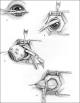 Related image