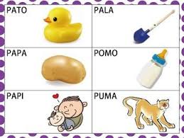 Birds That Start With U In Spanish Spanish Cvcv Words With P Sound In The Initial Position Words Spanish Words Spanish