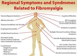 difference between fibromyalgia and ms difference between