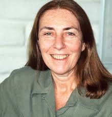 Harmonic Analysis, Partial Differential Equations, Complex Analysis, Banach  Spaces, and Operator Theory (Volume 1)