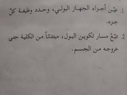 عين أجزاء الجهاز البولي مع تحديد الوظائف وتتبع مسار تكوين البول من الكلية حتى خروجه من الجسم tattoo quotes calligraphy quotes