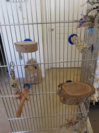 Affix wire to the sides5 4. Budgie Cages How To Set Up Your Parakeet S Cage With Toys And Perches Discount Parrot Supplies