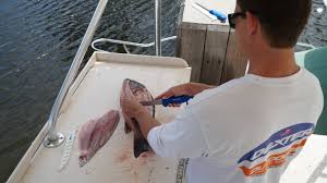 Guy Harvey™ GH138 8” wide, stiff flexible fillet knife with SOFGRIP® handle