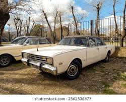 Image result for Light Gold 1971 Polara